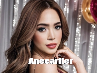 Anecartier