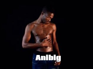 Anibig