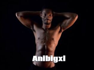 Anibigxl