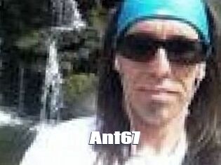 Ant67