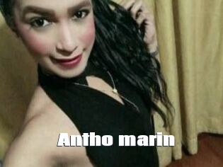 Antho_marin