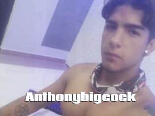 Anthonybigcock
