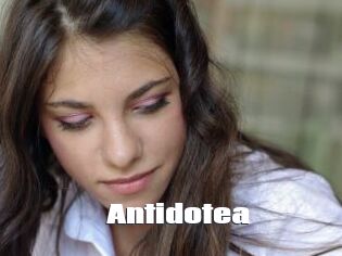 Antidotea