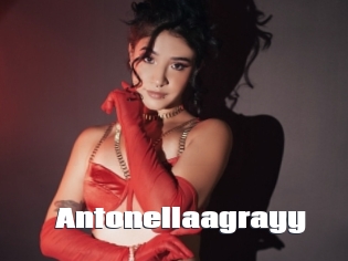 Antonellaagrayy