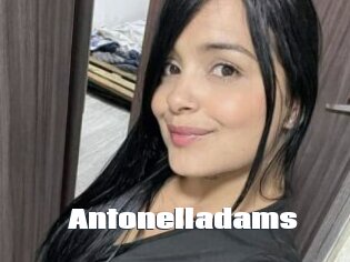 Antonelladams