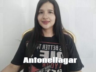 Antonellagar