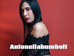 Antonellahumbolt