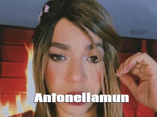 Antonellamun
