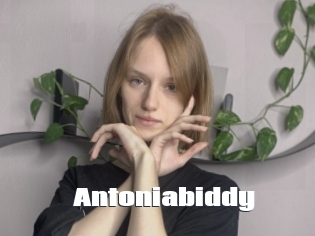 Antoniabiddy