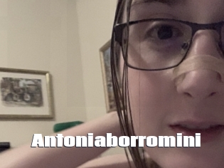 Antoniaborromini