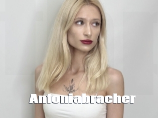 Antoniabracher