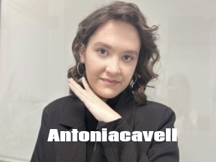 Antoniacavell