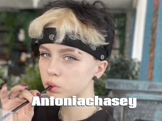 Antoniachasey