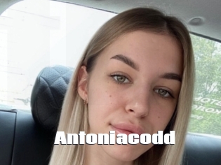 Antoniacodd