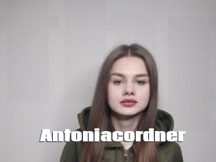 Antoniacordner
