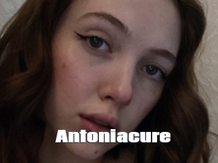 Antoniacure