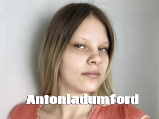 Antoniadumford