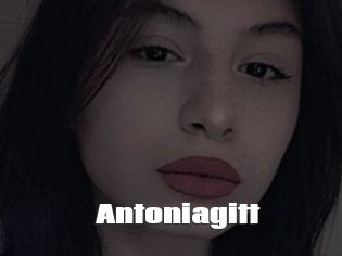 Antoniagitt
