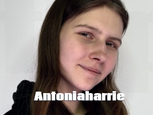 antoniaharrie The hot porn