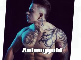 Antonygold