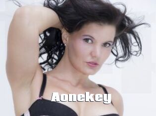 Aonekey