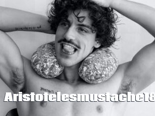 Aristotelesmustache18