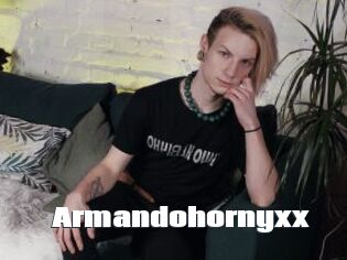 Armandohornyxx