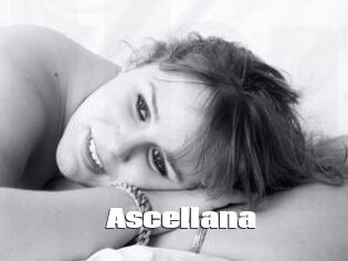 Ascellana