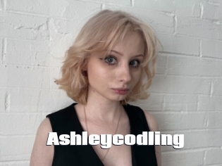 Ashleycodling