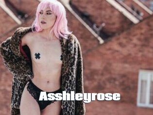 Asshleyrose