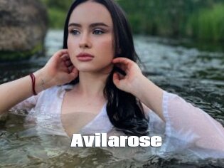 Avilarose