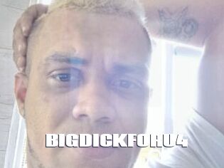 BIGDICKFORU4