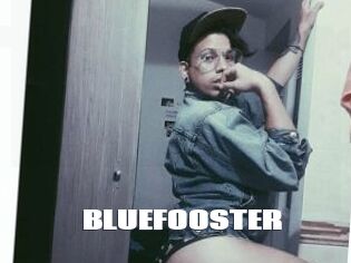 BLUEFOOSTER
