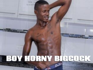 BOY_HORNY_BIGCOCK
