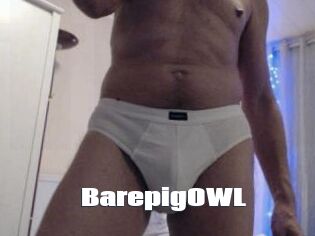 BarepigOWL