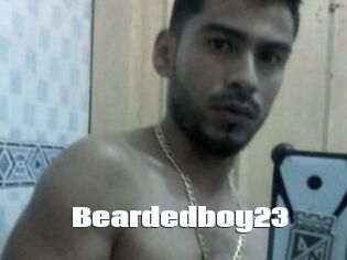 Beardedboy23
