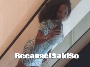 BecauseISaidSo
