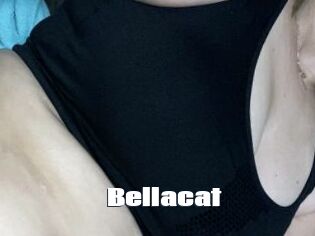 Bellacat