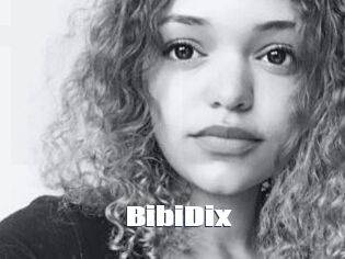 BibiDix