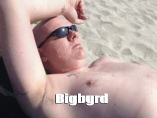 Bigbyrd