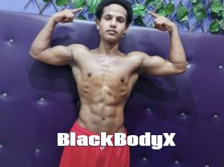 BlackBodyX