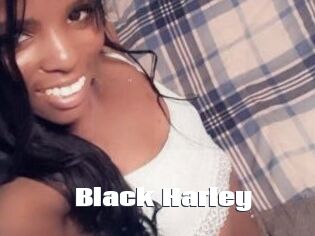 Black_Harley