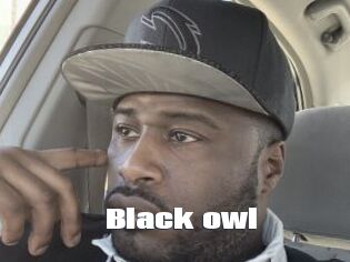 Black_owl