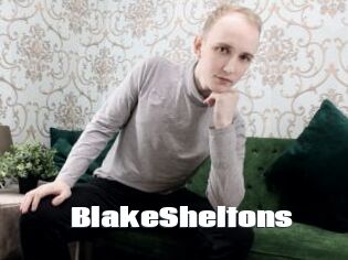 BlakeSheltons