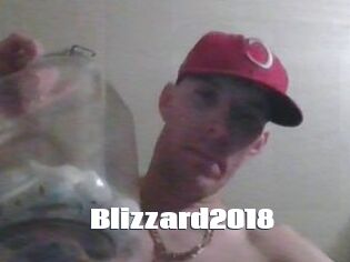 Blizzard2018