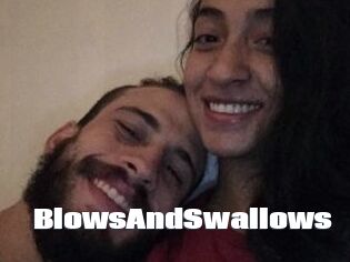 BlowsAndSwallows