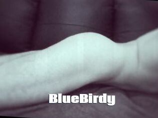 BlueBirdy