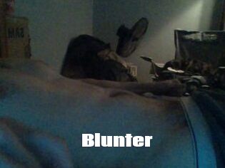 Blunter