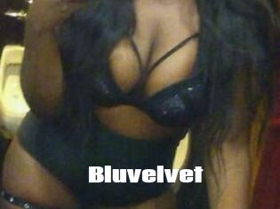 Bluvelvet