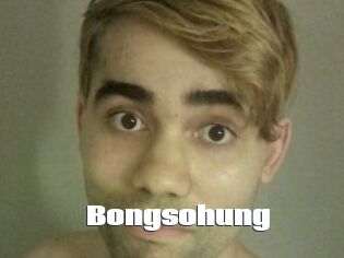 Bongsohung